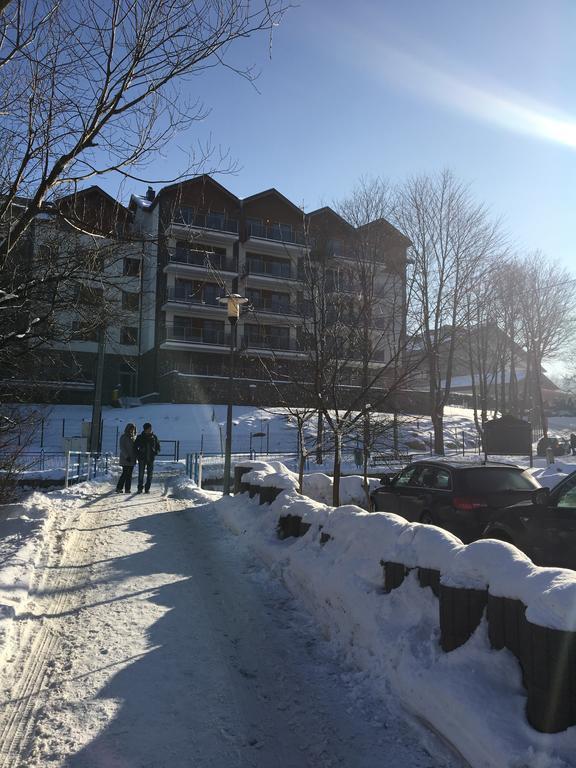 Apartament Sniezny *